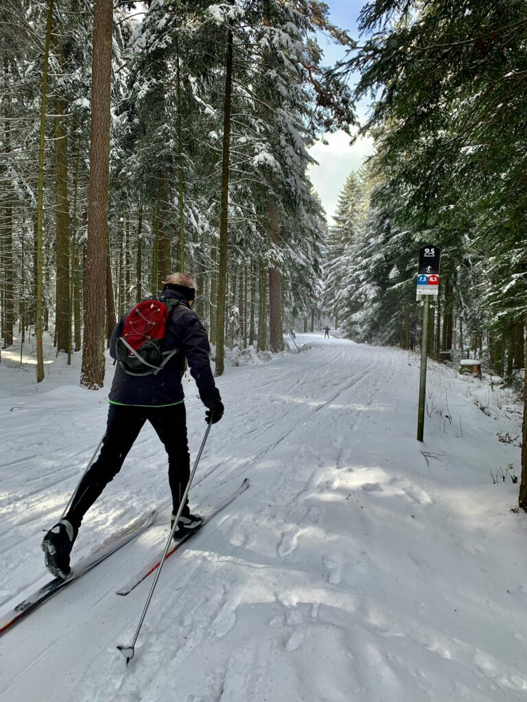 A person skiing through a snow-covered forest in Schömberg, Germany.